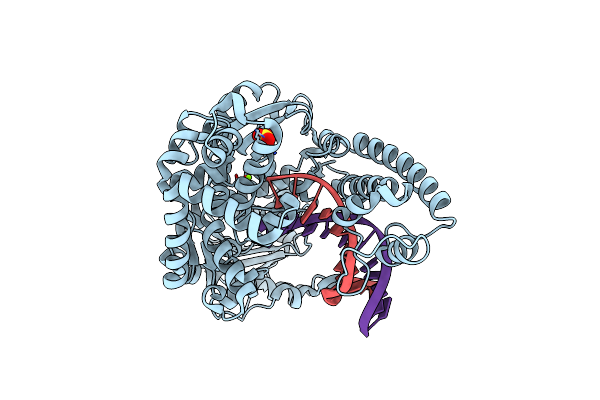 6DSV image