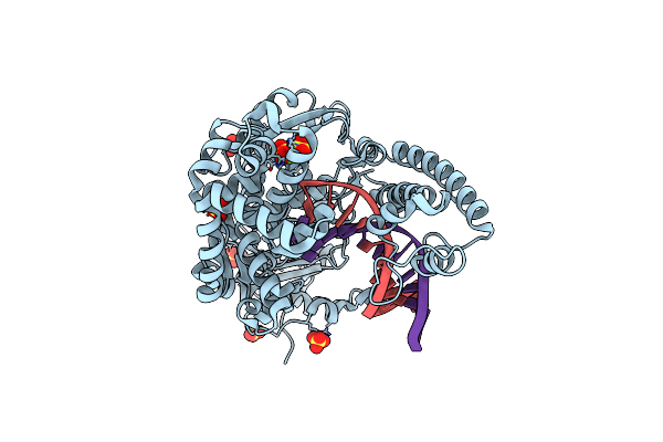 6DSX image