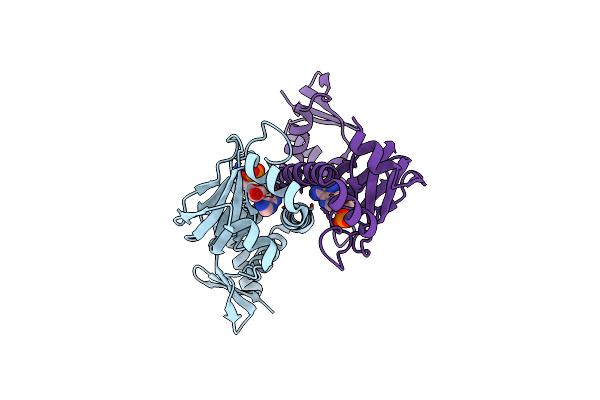 6DT4 image