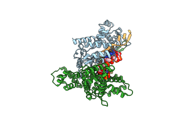 6DTA image