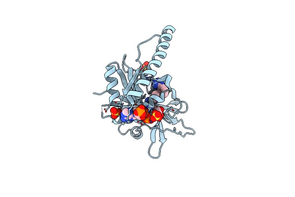 6DTC image