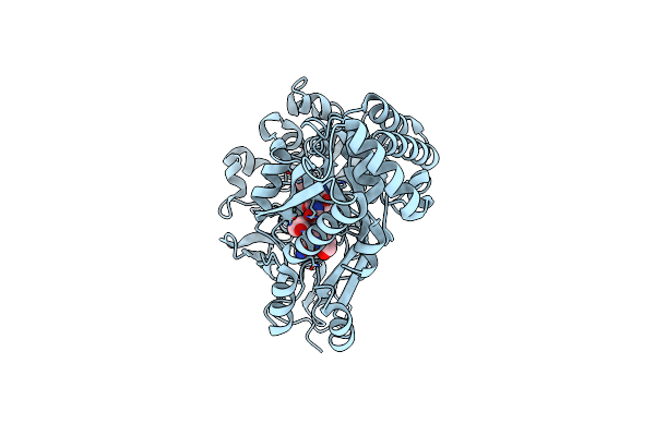 6DTG image
