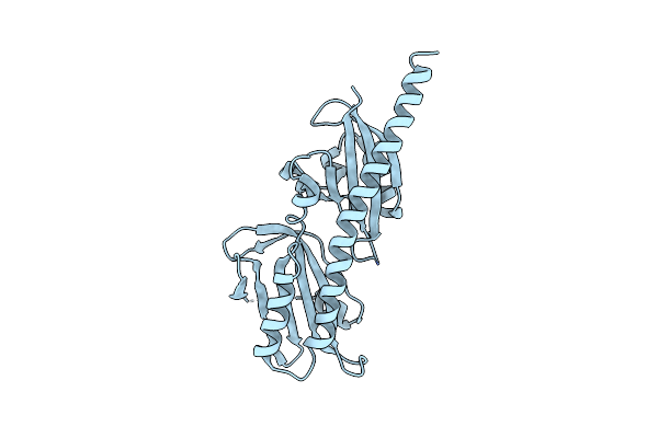 6DTM image