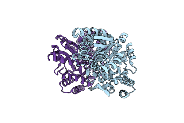 6DTT image