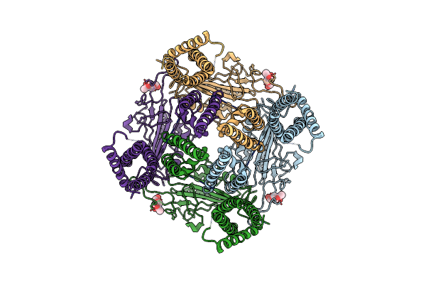 6DU8 image