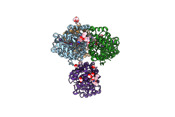 6DVM image