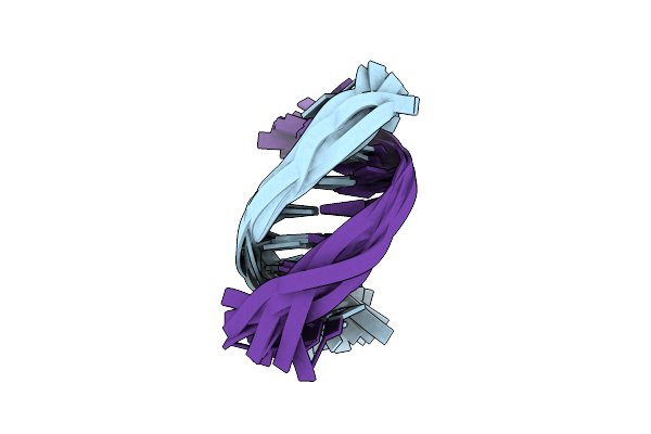 6DVT image
