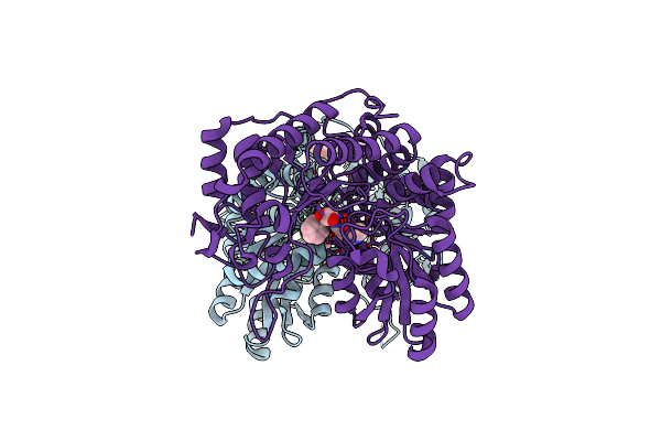 6DVX image