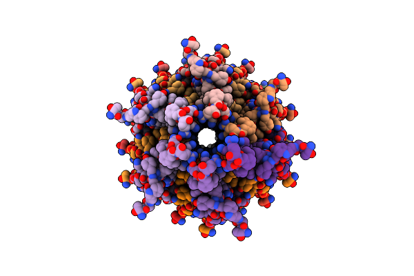 6DWB image