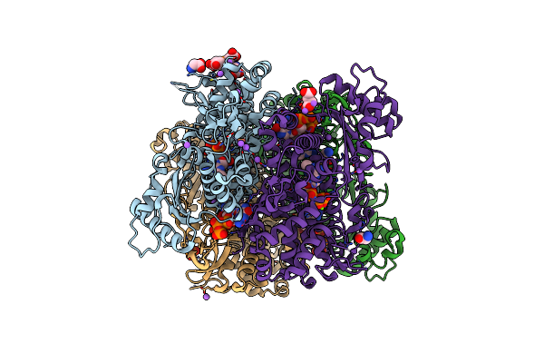 6DWD image
