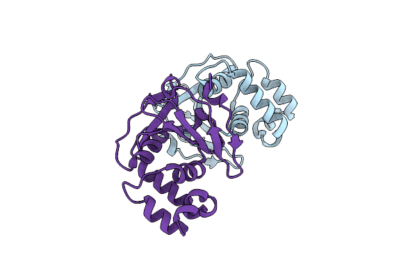 6DX2 image