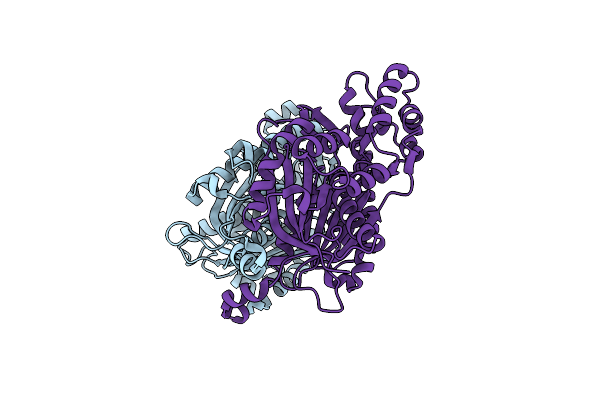 6DXA image