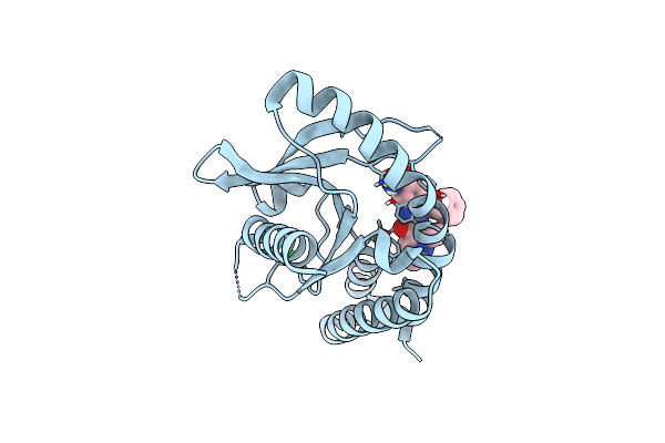 6DXG image