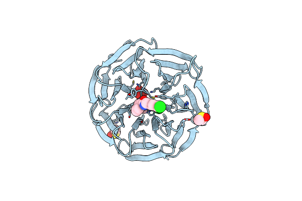 6DYA image