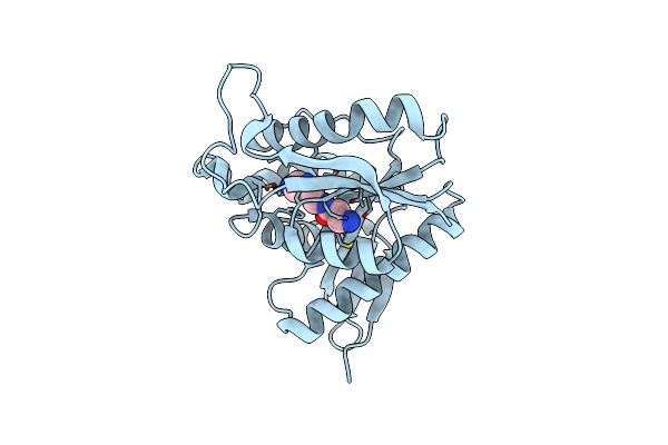 6DYR image