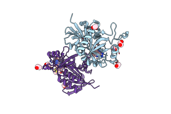 6DYV image