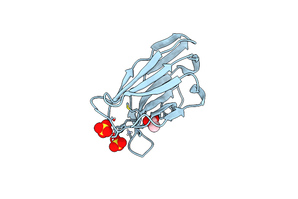 6DYX image