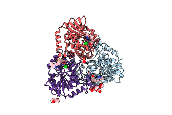 6DZ3 image