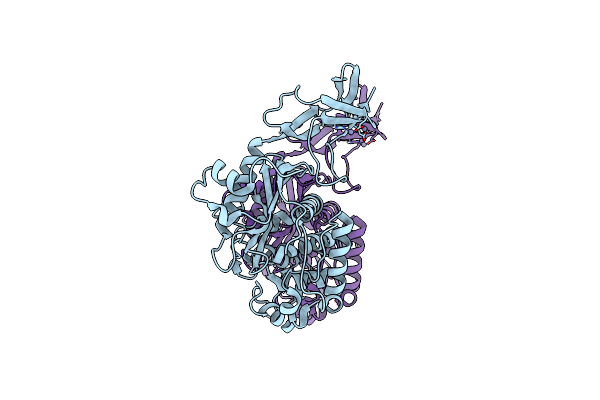 6DZ8 image