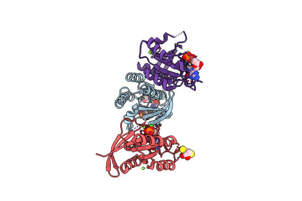 6DZH image