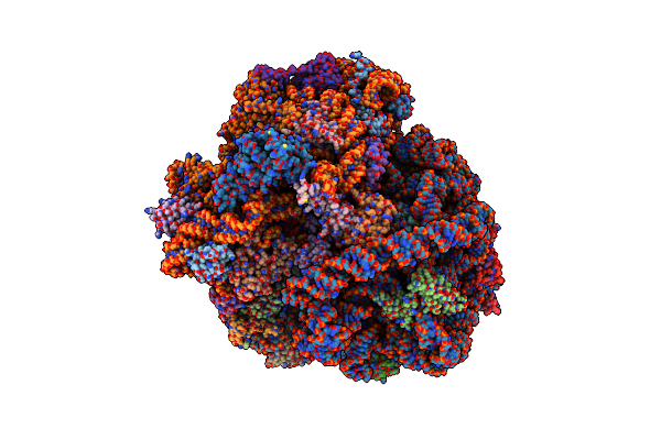 6DZI image