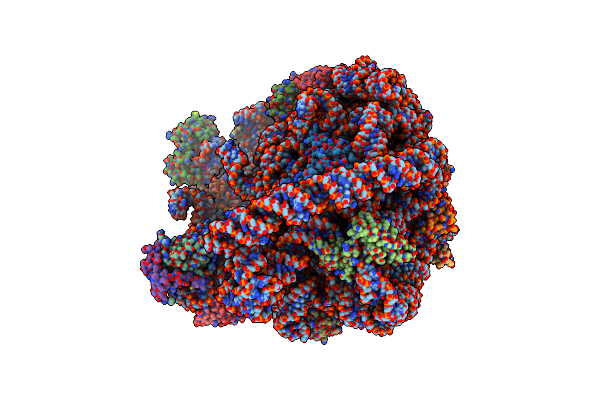 6DZP image
