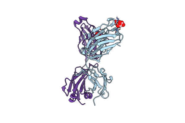 6DZR image