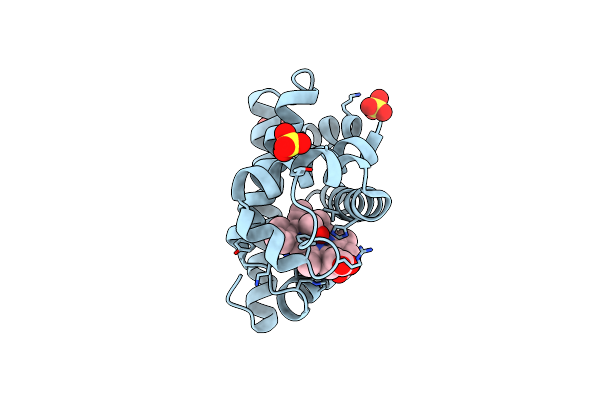 6E02 image