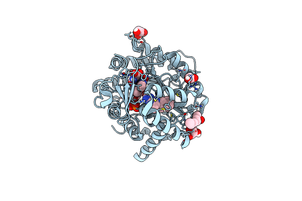 6E0B image