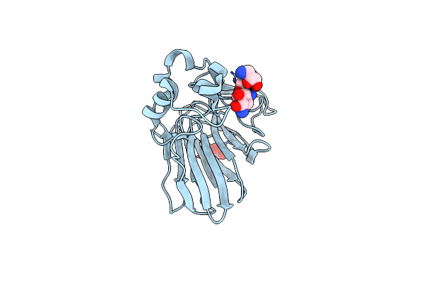 6E0D image