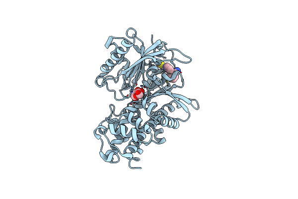 6E0E image