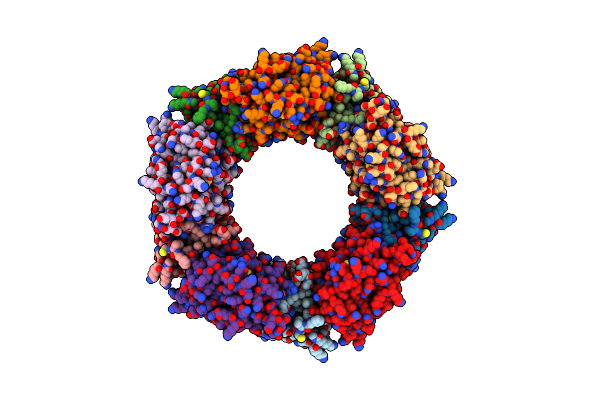 6E0G image