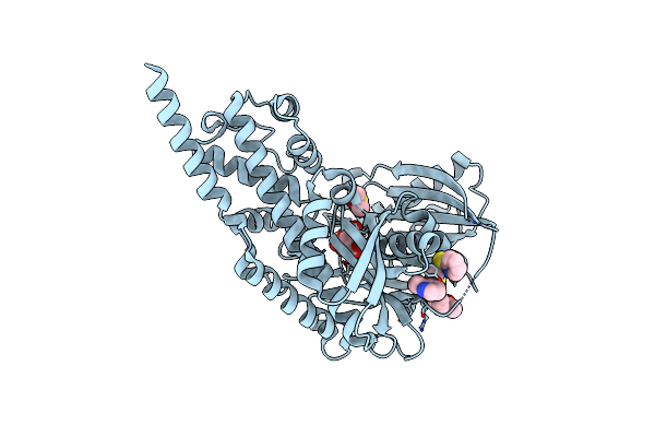 6E0I image