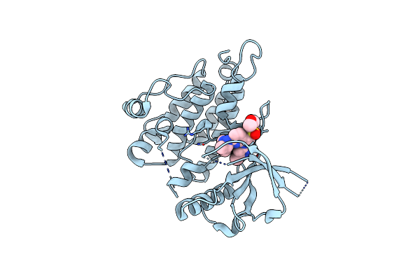 6E0R image