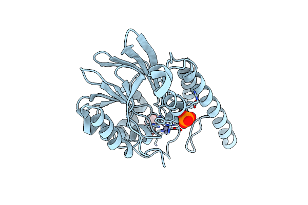 6E0S image