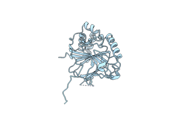 6E0T image