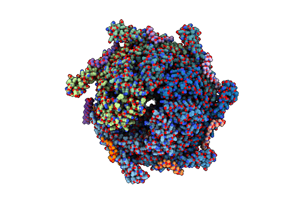 6E11 image