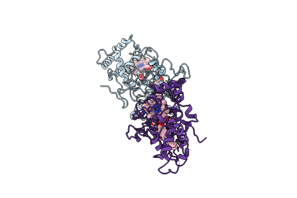 6E1C image