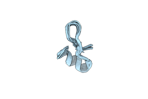 6E1L image