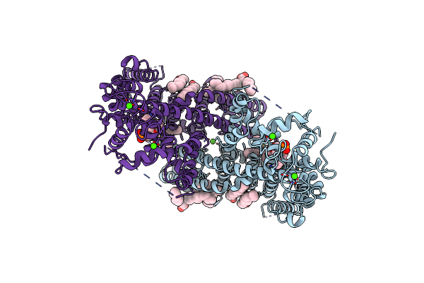 6E1M image