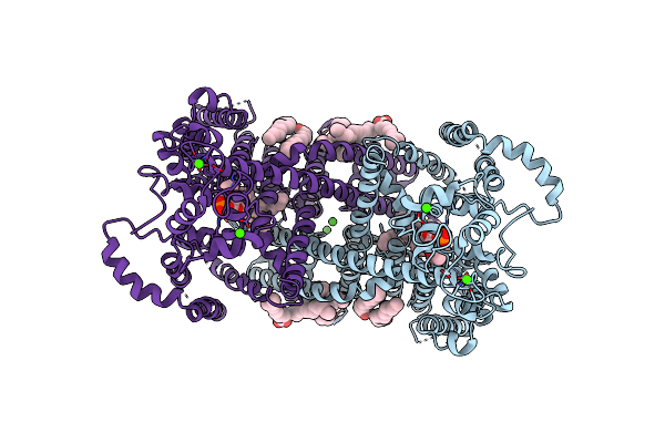 6E1N image