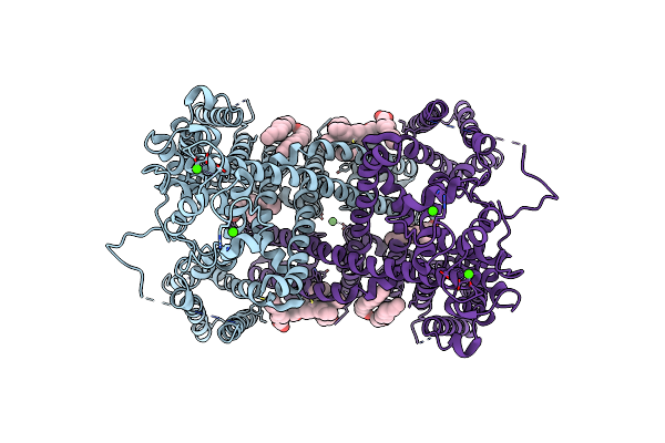 6E1P image