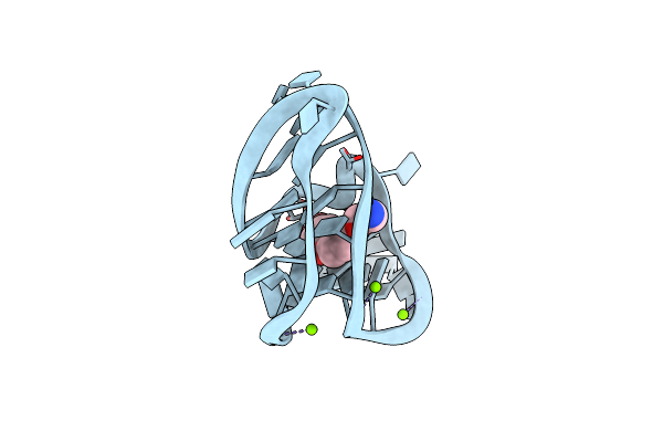 6E1T image