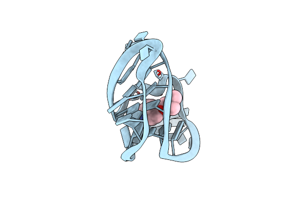 6E1V image