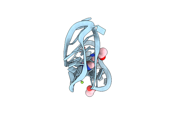 6E1W image