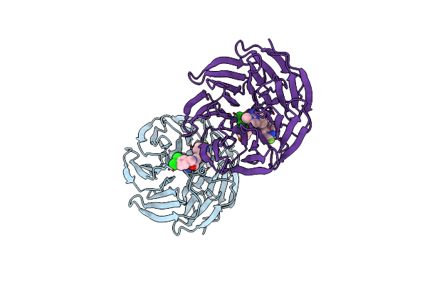 6E23 image
