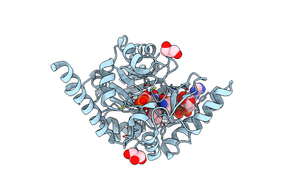 6E2A image