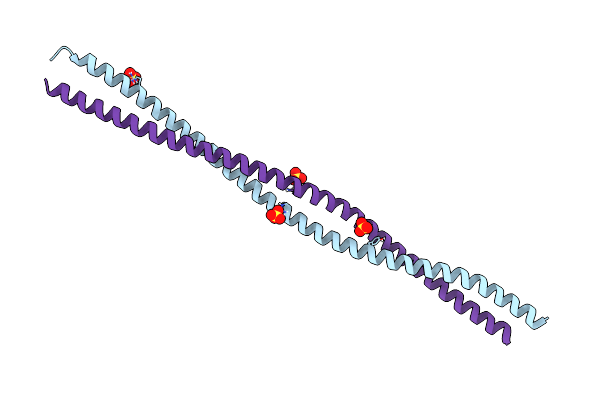 6E2J image