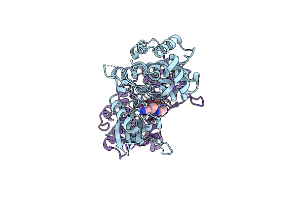 6E2N image