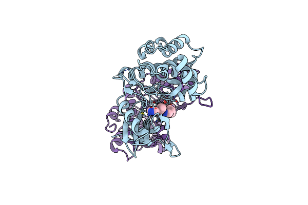 6E2O image